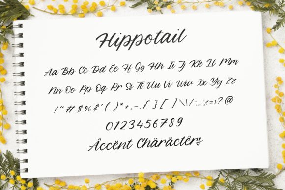 Hippotail Font Poster 5