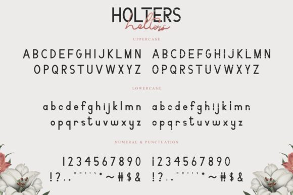 Holters Font Poster 5