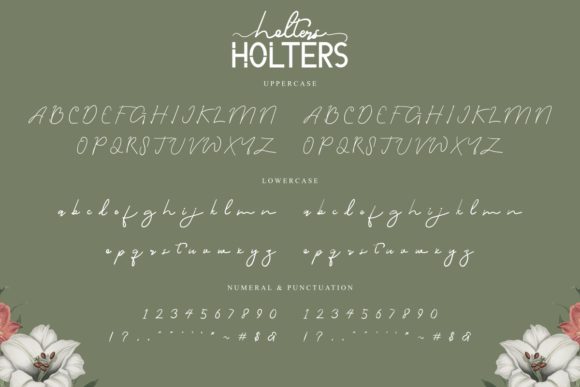 Holters Font Poster 7
