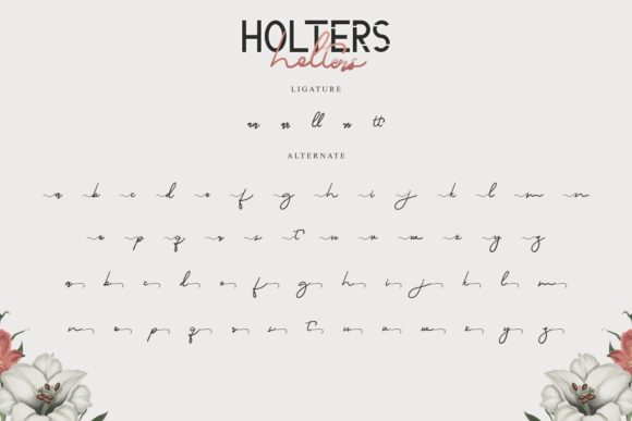 Holters Font Poster 9