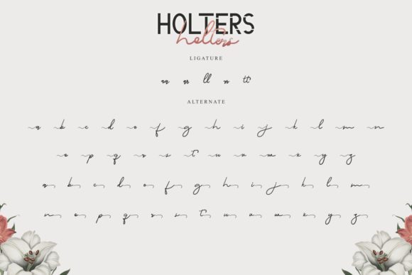 Holters Font Poster 9