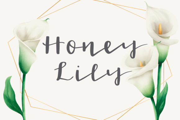 Honey Lily Font Poster 1
