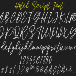 Hotel Script Font Poster 5