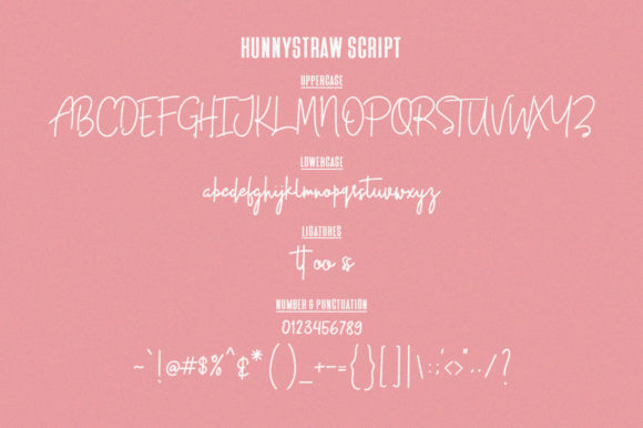 Hunny Straw Font Poster 9