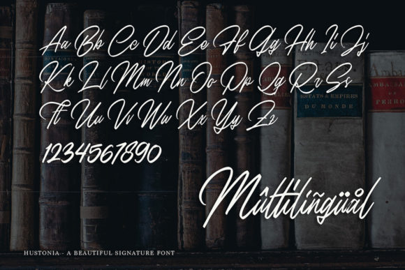 Hustonia Font Poster 3