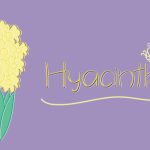 Hyacinth Font Poster 1