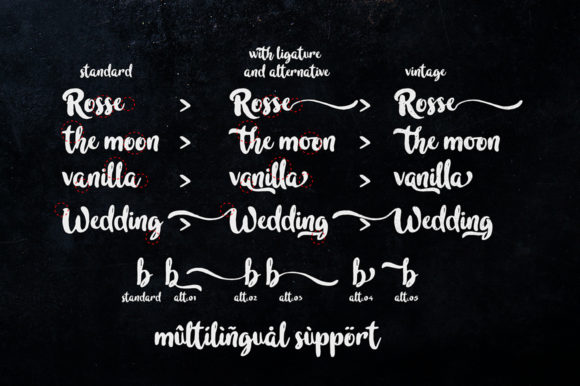 In Blossom Font Poster 8