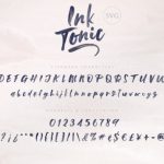 Ink Tonic Font Poster 14