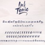 Ink Tonic Font Poster 15