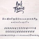 Ink Tonic Font Poster 17