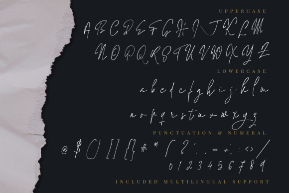 Jaccuzy Signature Font Poster 4