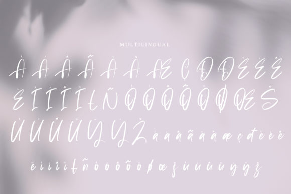 Jacksonville Font Poster 7