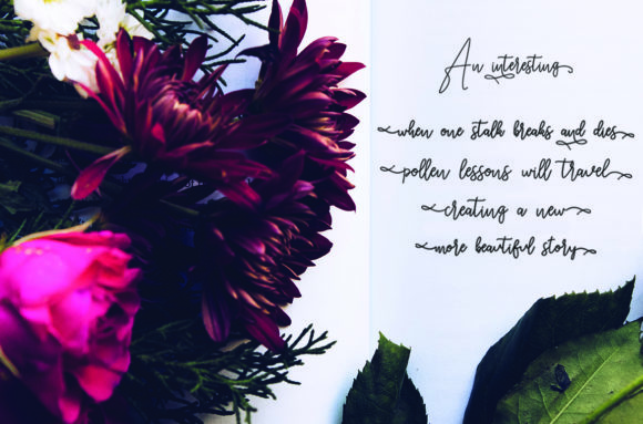 Jenilla Font Poster 4