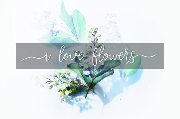 Jenilla Font Poster 5