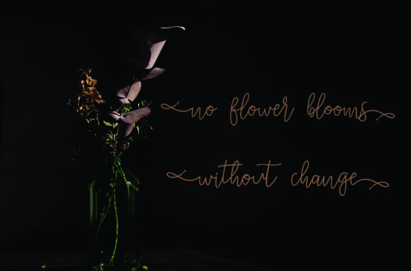 Jenilla Font Poster 6