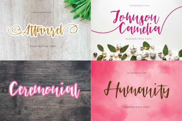 Johnson Camelia Font