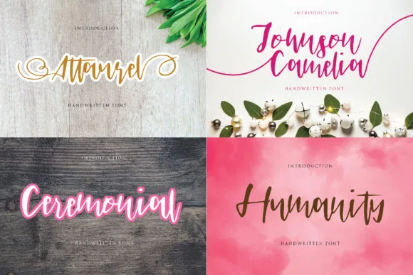 Johnson Camelia Font Poster 1