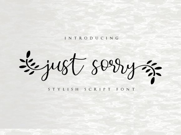 Just Sorry Font Poster 1