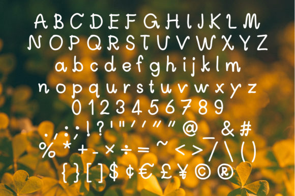 Kaelyn Font Poster 6
