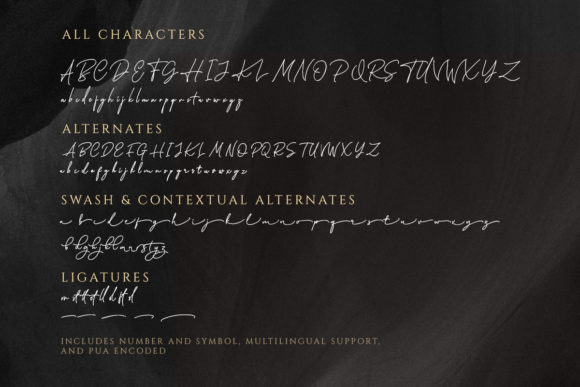 Katherine Font Poster 9