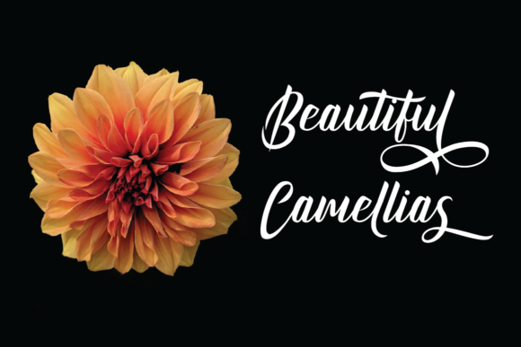 Kinghawk Font Poster 4