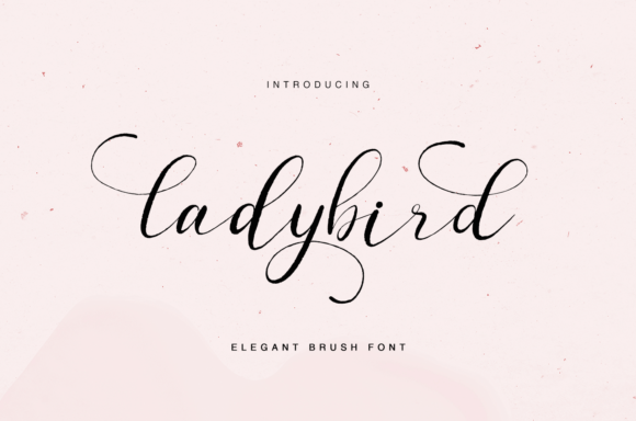 Ladybird Font