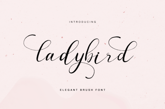 Ladybird Font Ladybird Font Poster 1