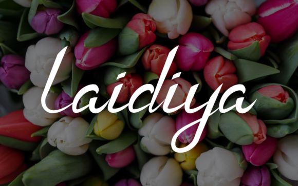 Laidiya Font