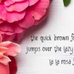 LaLaRosa Font Poster 2