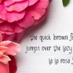 LaLaRosa Font Poster 2
