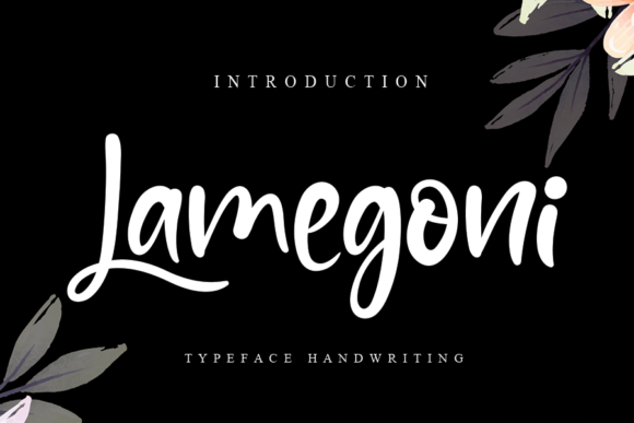 Lamegoni Font