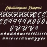 Lazyday Font Poster 13