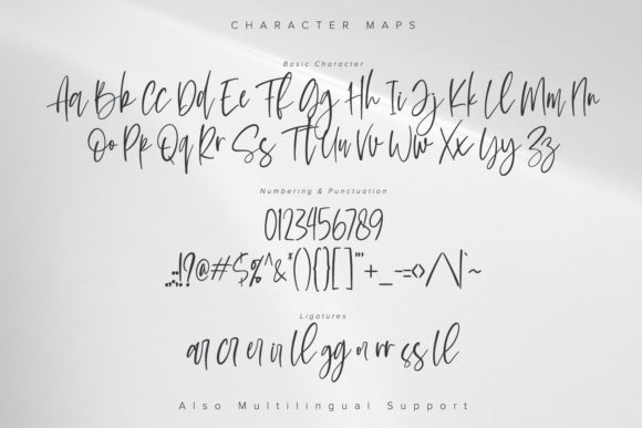 Le Barche Font Poster 5