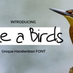 Like a Birds Font Poster 1