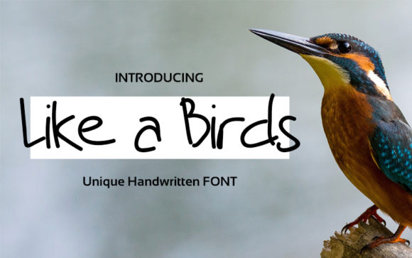 Like a Birds Font Poster 1