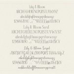 Lily & Bloom Font Poster 2