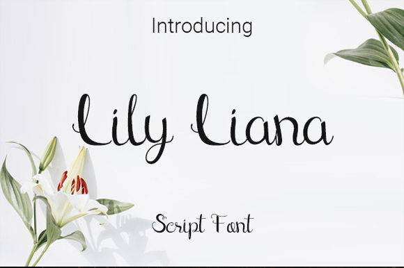 Lily Liana Font Poster 1