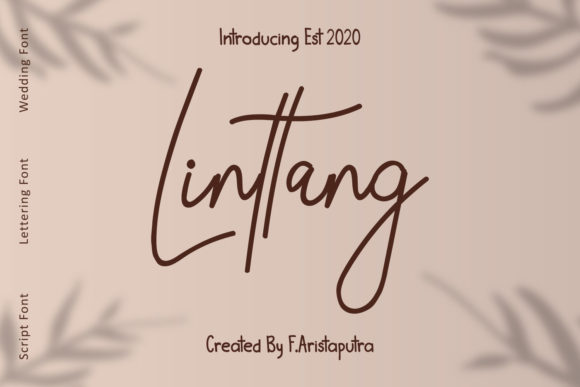 Linttang Font