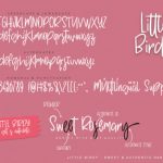 Little Birdy Font Poster 8