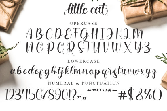 Little Cat Font Poster 7