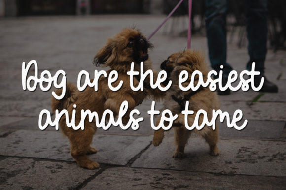 Little Dog Font Poster 2