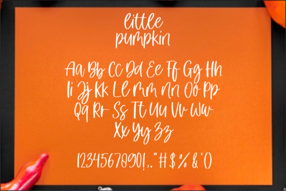 Little Pumpkin Font Poster 9