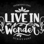 Live in Wonder Font Poster 1