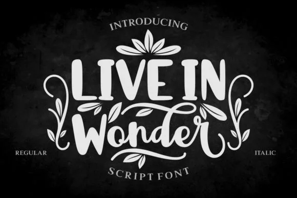 Live in Wonder Font Live in Wonder Font Poster 1