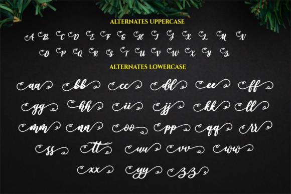 Love Christmas Font Poster 11