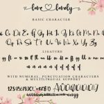 Love Lovely Font Poster 9