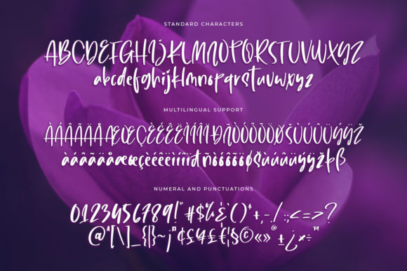 Lovely Purple Font Poster 9