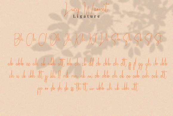 Lucy Warrent Font Poster 13
