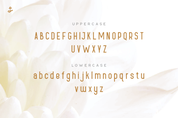 Lueue Font Poster 5