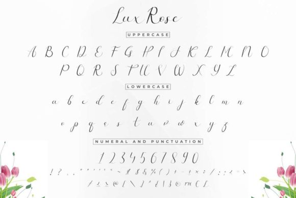 Lux Rose Font Poster 5